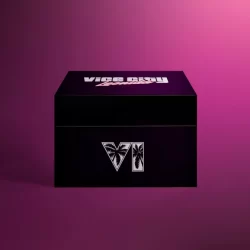 نسخه کلکسیونی GTA 6 با قیمت ۴۰۰ دلار معرفی شد
